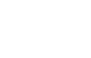 Bizbotweb Logo White
