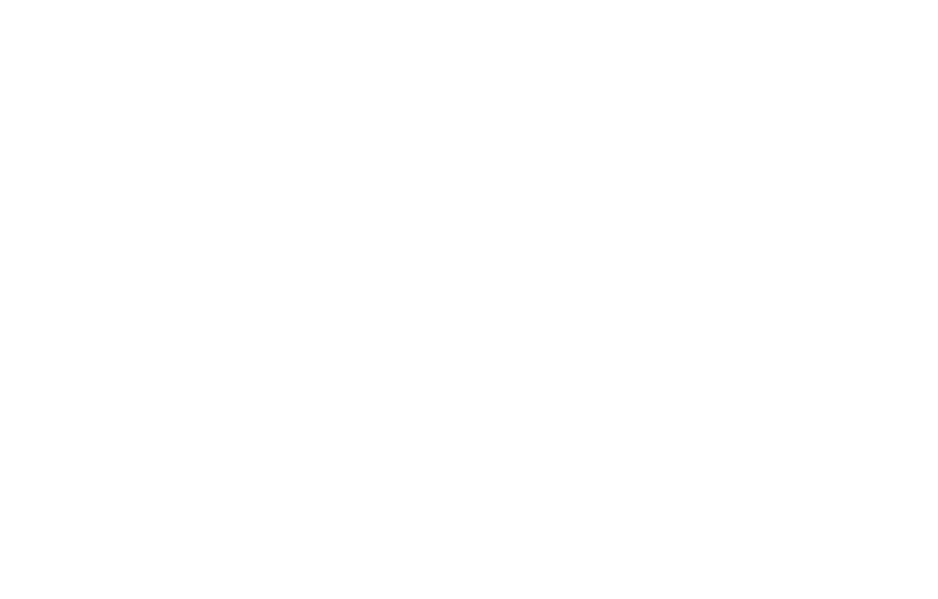 Bizbotweb Logo White